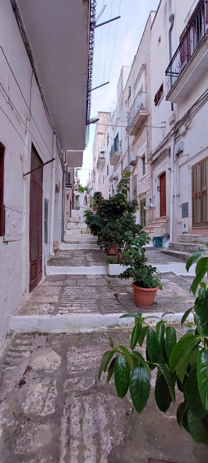 Vico Anglani Guest House Ostuni Ngoại thất bức ảnh